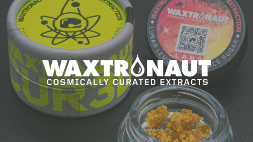 waxtronaut-featured-image