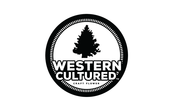 client-western-cultured